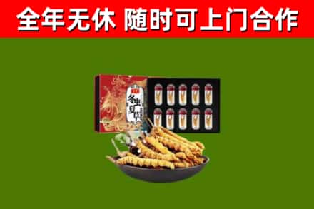 平山回收冬虫夏草价格